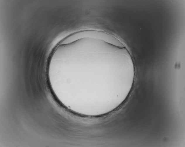 X0000113090008200910091308