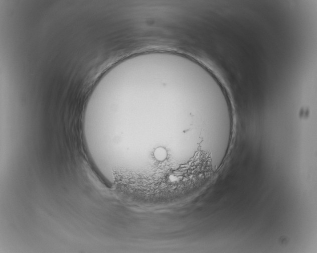X0000113090009200910091308