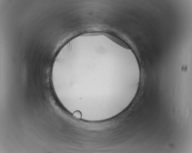 X0000113090010200910091308