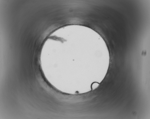 X0000113090011200910091308