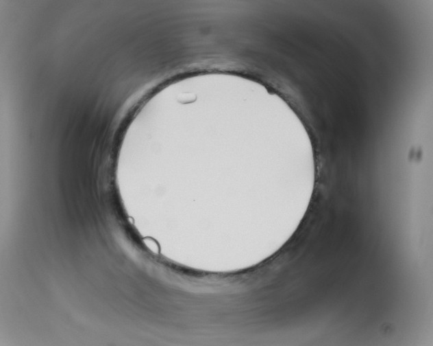 X0000113090012200910091308