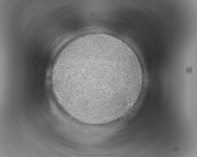 X0000113090014200910091308