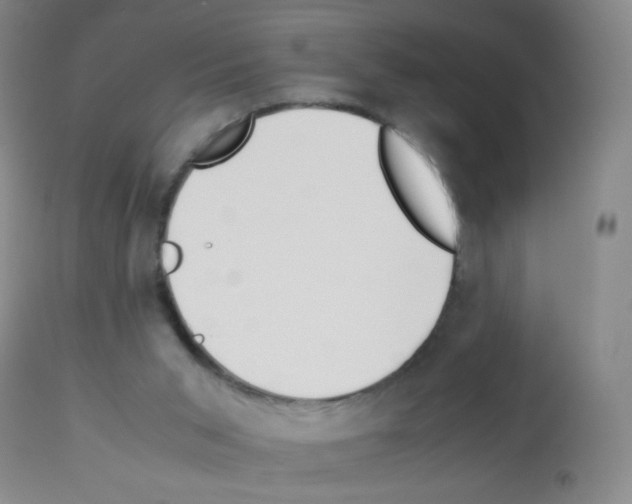 X0000113090015200910091308