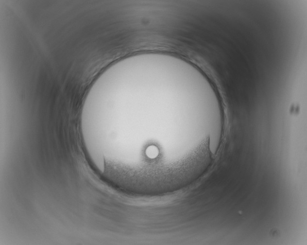 X0000113090017200910091308