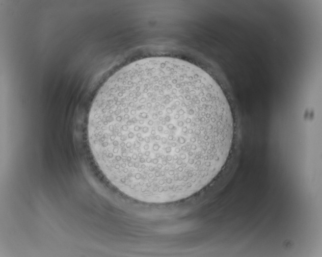 X0000113090018200910091308