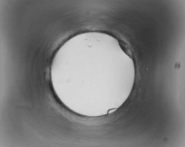 X0000113090019200910091308