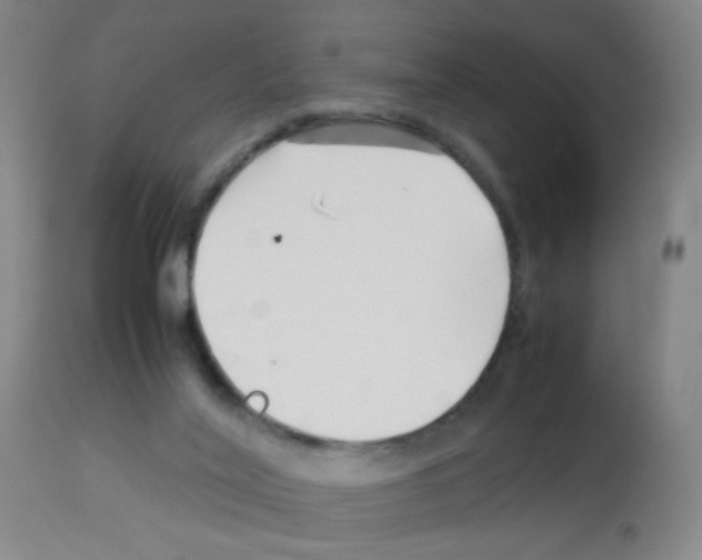 X0000113090020200910091308