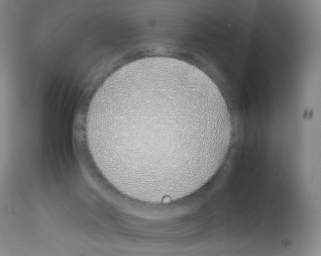 X0000113090022200910091308