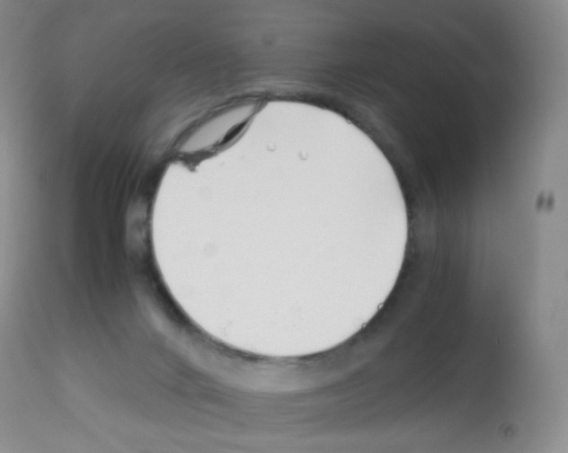 X0000113090024200910091308