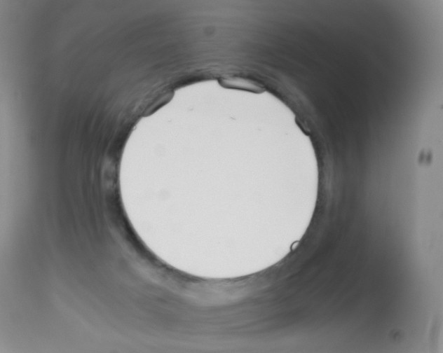 X0000113090025200910091308