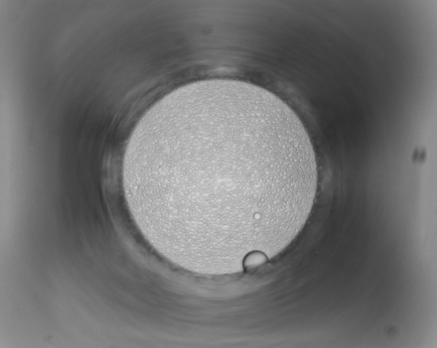 X0000113090026200910091308