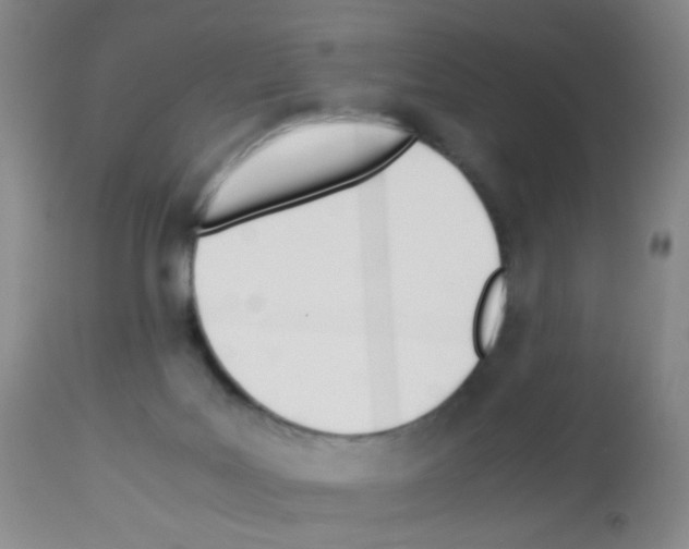 X0000113090027200910091308