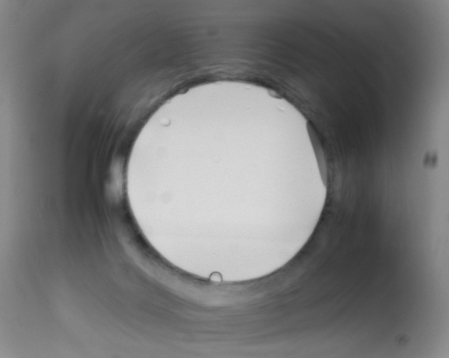 X0000113090028200910091308