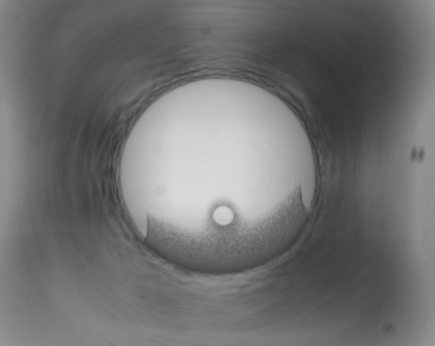 X0000113090029200910091308