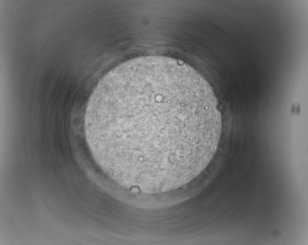 X0000113090030200910091308