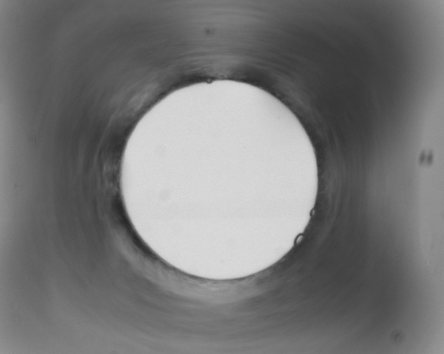 X0000113090031200910091308