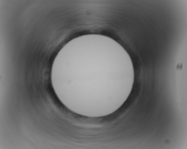 X0000113090032200910091308