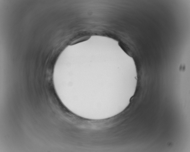 X0000113090033200910091308