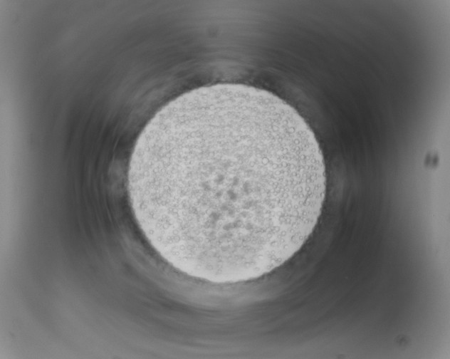X0000113090034200910091308