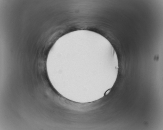 X0000113090035200910091308