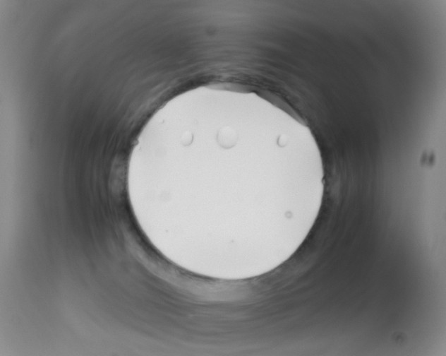 X0000113090036200910091308