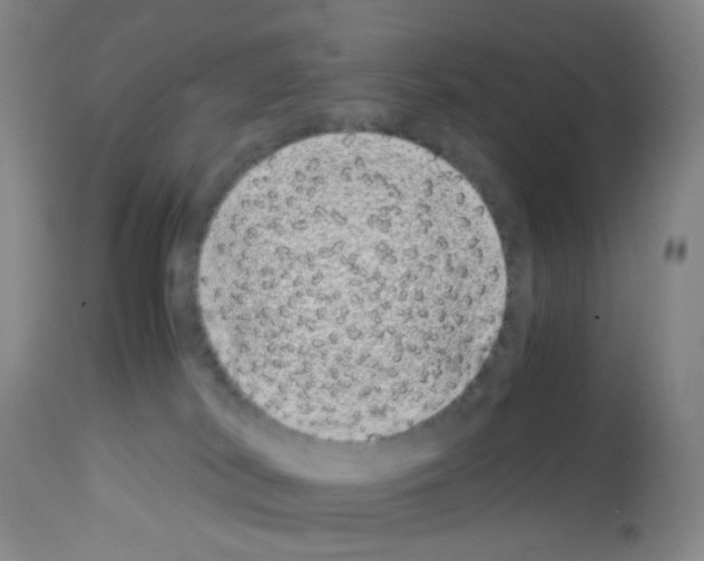 X0000113090038200910091308