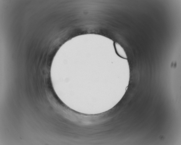 X0000113090039200910091308