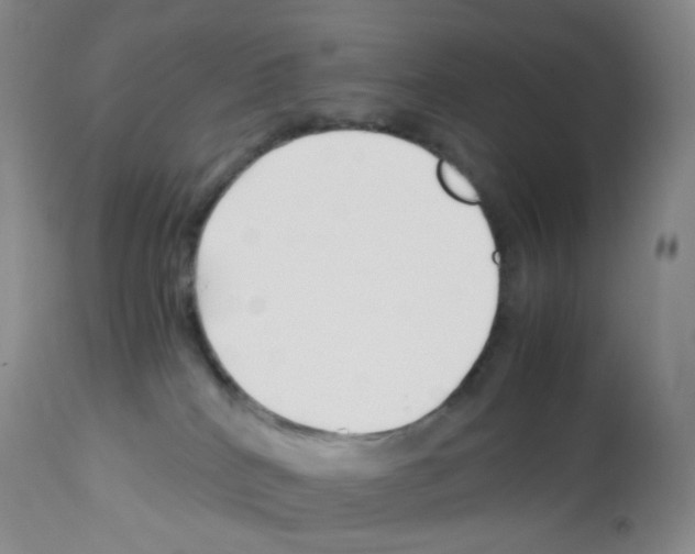 X0000113090040200910091308