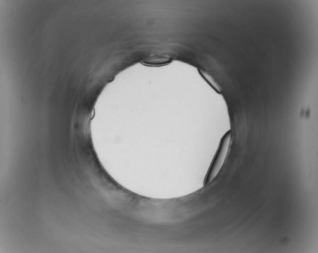 X0000113090041200910091308