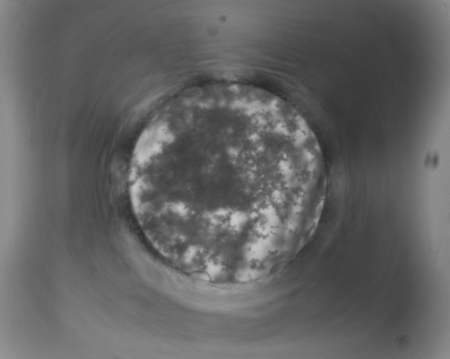 X0000113090043200910091307
