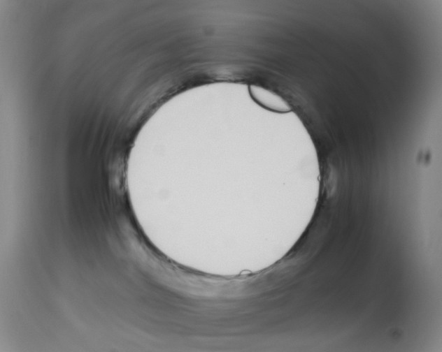 X0000113090044200910091307