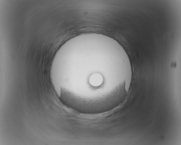 X0000113090045200910091307