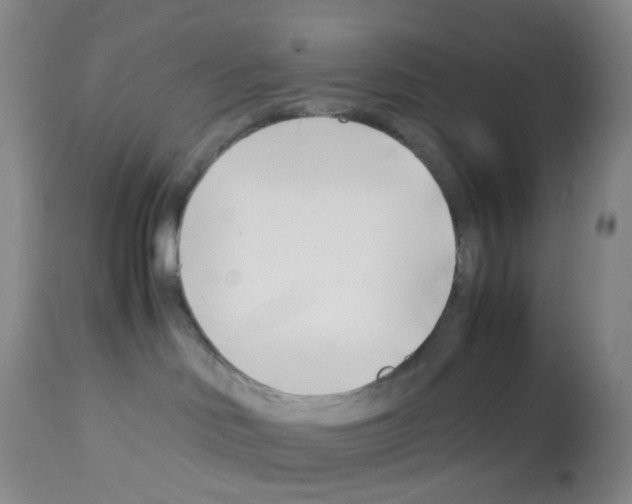 X0000113090046200910091307