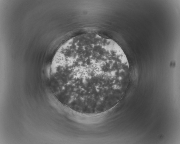 X0000113090047200910091307