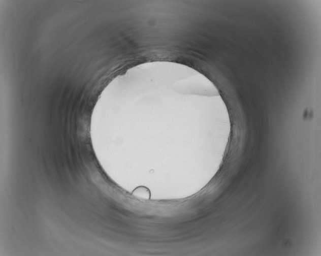 X0000113090048200910091307