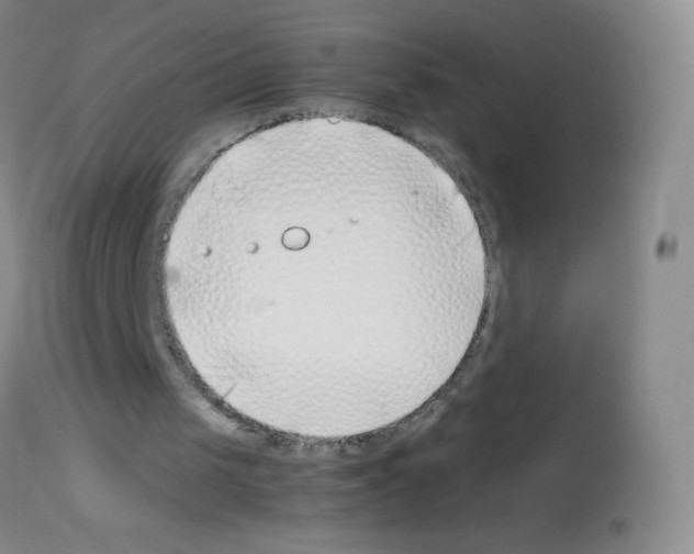 X0000113090049200910091307