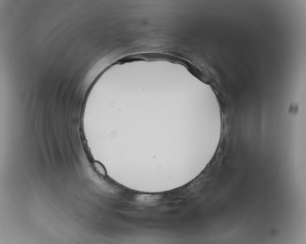 X0000113090051200910091307