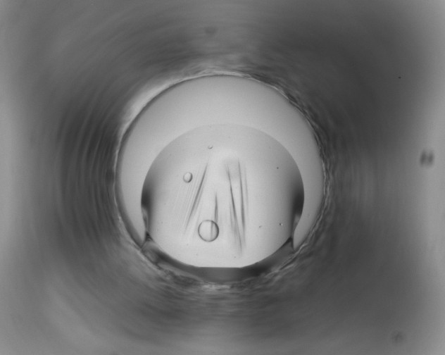 X0000113090052200910091307