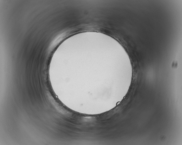 X0000113090053200910091307