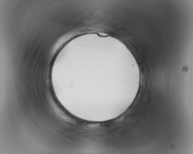 X0000113090054200910091307