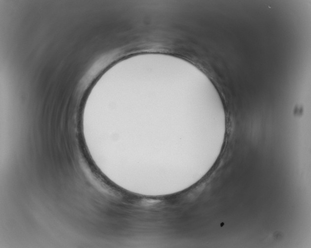 X0000113090055200910091307