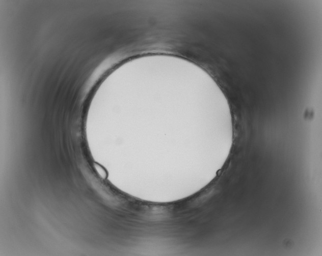 X0000113090056200910091307