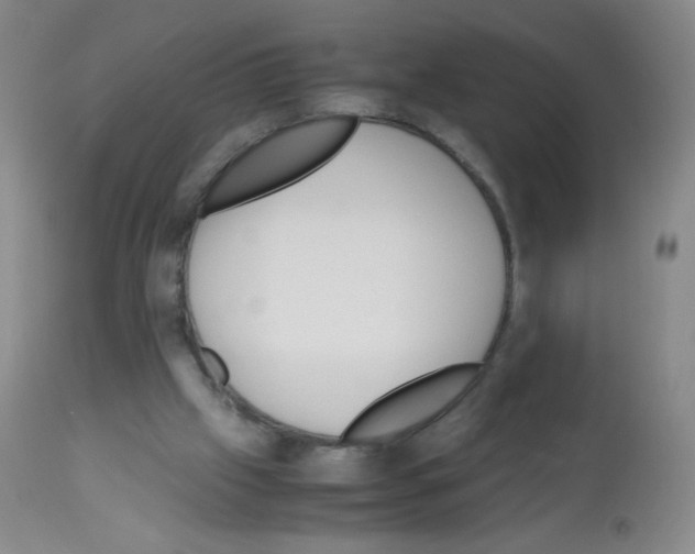 X0000113090057200910091307