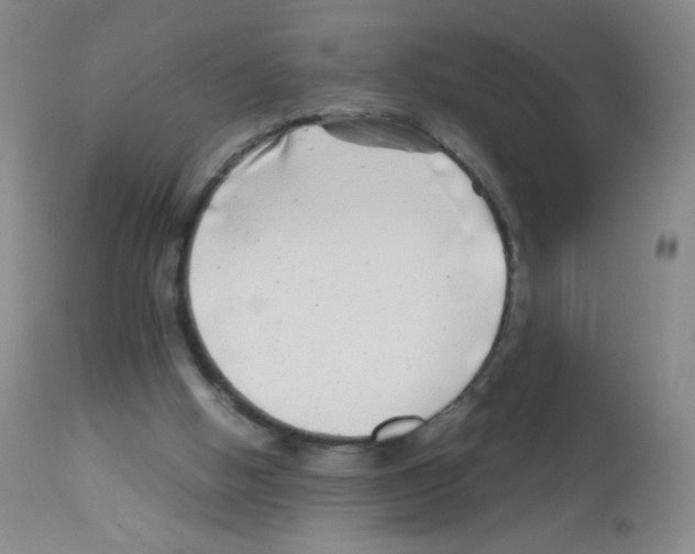 X0000113090058200910091307