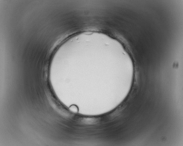 X0000113090059200910091307