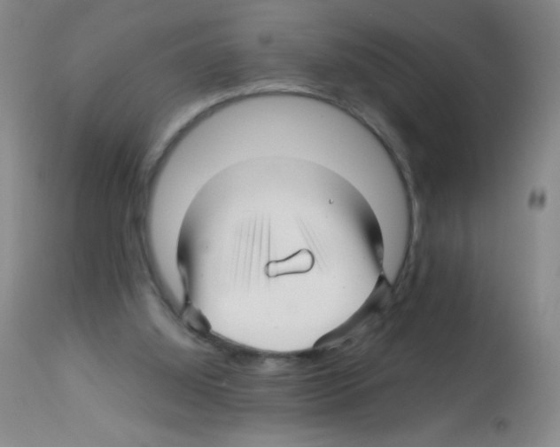 X0000113090060200910091307
