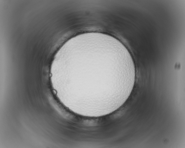 X0000113090061200910091307