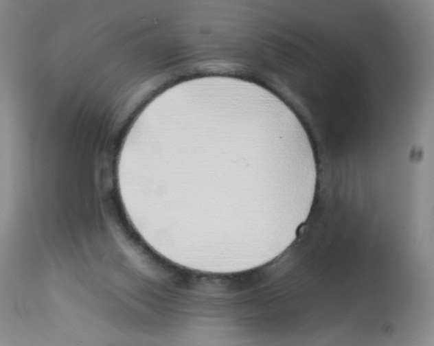 X0000113090062200910091307
