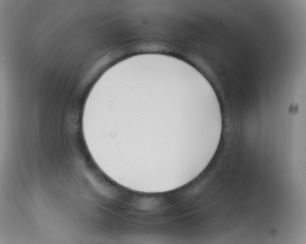 X0000113090063200910091307