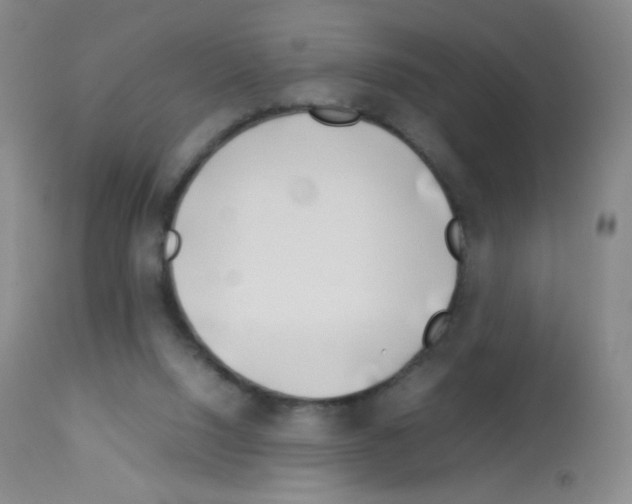 X0000113090064200910091307